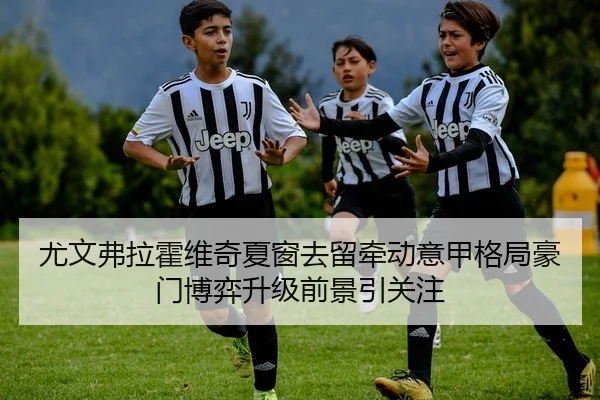 尤文弗拉霍维奇夏窗去留牵动意甲格局豪门博弈升级前景引关注
